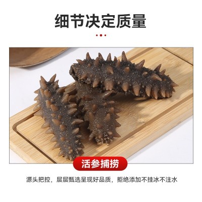 鲜食海参厂家批发即食海参辽刺海参非淡干大连鲜食海参肉质饱满图3