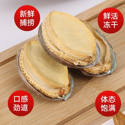 冻干鲍鱼工厂批发散装干货鲍鱼鲜鲍鱼加工餐饮水产干货海参鲍鱼图4