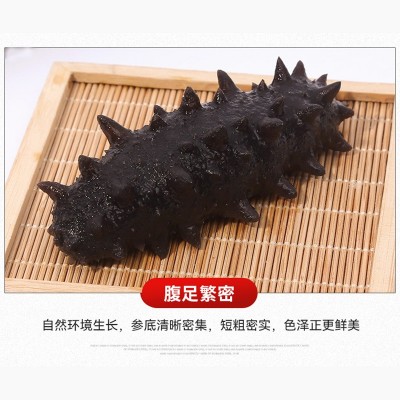 即食海参大连辽参刺参鲜参非干货冷冻即食海参500g水产品海参图3
