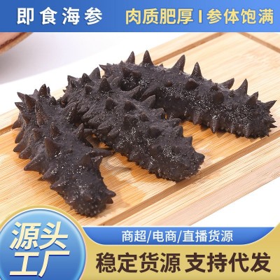 即食海参大连辽参刺参鲜参非干货冷冻即食海参500g水产品海参图5