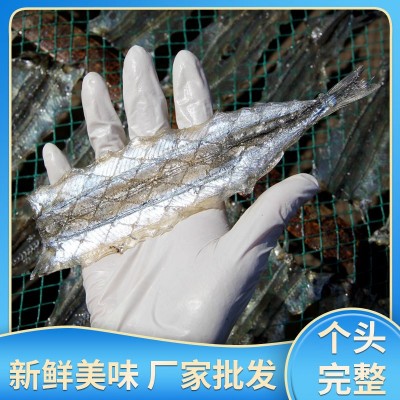 厂家批发海鲜马步鱼干烧烤调味鱼片银针鱼干棒鱼干海鲜淡干马步鱼图2