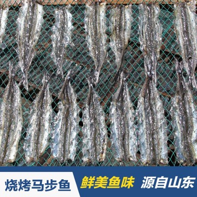 厂家批发海鲜马步鱼干烧烤调味鱼片银针鱼干棒鱼干海鲜淡干马步鱼图3