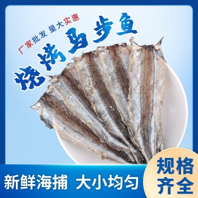 厂家批发海鲜马步鱼干烧烤调味鱼片银针鱼干棒鱼干海鲜淡干马步鱼图5