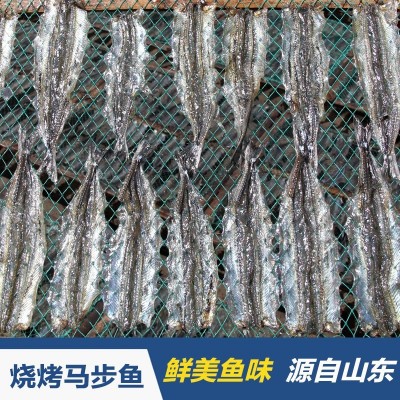 源头厂家批发海鲜干货烧烤棒棒鱼针鱼片饭店多味鱼马步鱼调味鱼图2