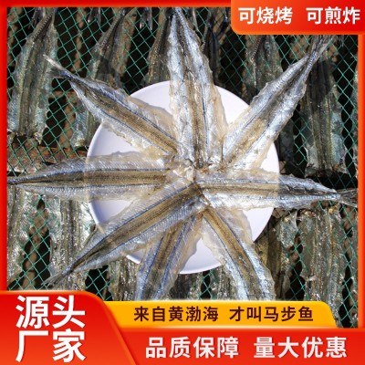 源头厂家批发海鲜干货烧烤棒棒鱼针鱼片棒鱼干多味鱼马步鱼鱼干图5