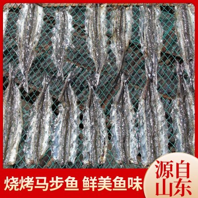 厂家直供批发马步鱼干烧烤调味鱼片银针鱼干棒鱼干海鲜淡晒马步鱼图5