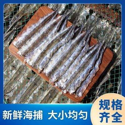 厂家直供批发马步鱼干烧烤调味鱼片银针鱼干棒鱼干海鲜淡晒马步鱼图4