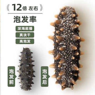 大连纯淡干海参干货散装批发50g深海底播辽刺参非即食海参高营养图3