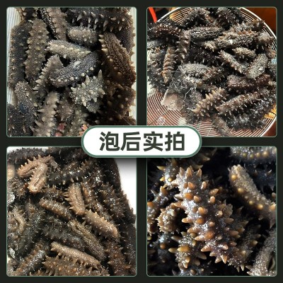 大连纯淡干海参干货散装批发50g深海底播辽刺参非即食海参高营养图2