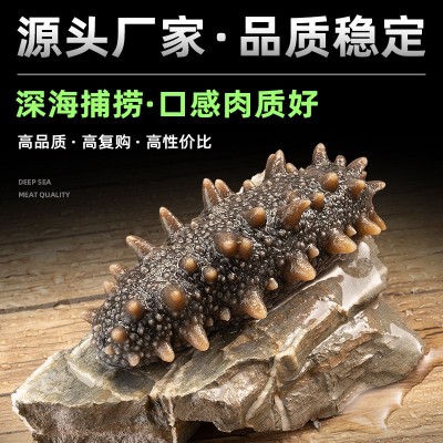 厂家直供大连冷冻即食海参批发开袋即食辽刺参鲜食海参非淡干海参图4