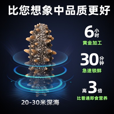 厂家直供大连冷冻即食海参批发开袋即食辽刺参鲜食海参非淡干海参图3