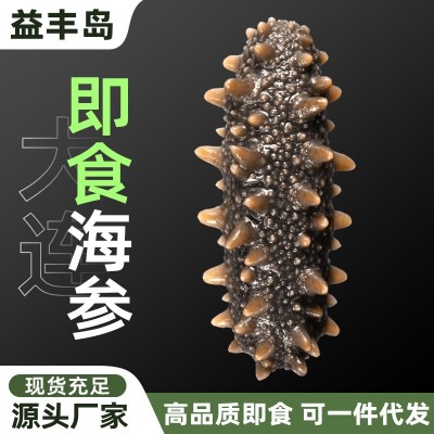 厂家直供大连冷冻即食海参批发开袋即食辽刺参鲜食海参非淡干海参图5