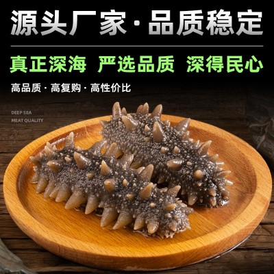 源头厂家大连冷冻即食海参批发鲜食海参深海底播辽刺参海鲜礼盒装图4