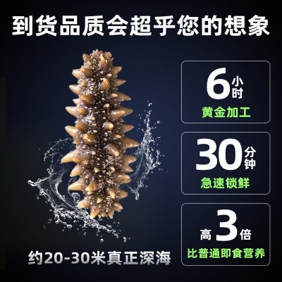 源头厂家大连冷冻即食海参批发鲜食海参深海底播辽刺参海鲜礼盒装