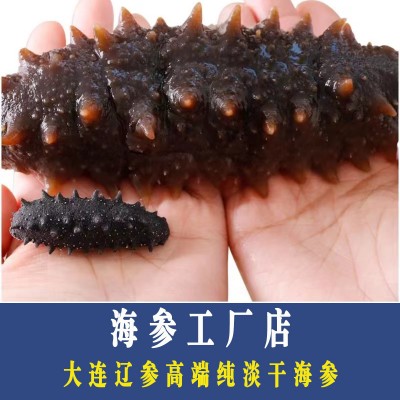 【高品质纯淡干】大连 高泡发淡干海参 支持一件代发50g 顺丰包邮图5