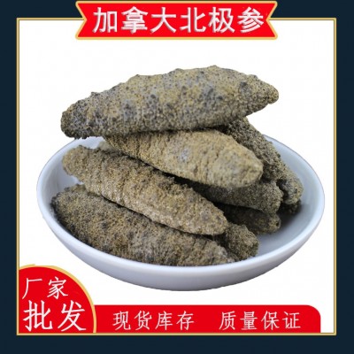 批发加拿大北极海参优惠价淡干海参厂家批发质量保障量大从优500g图5