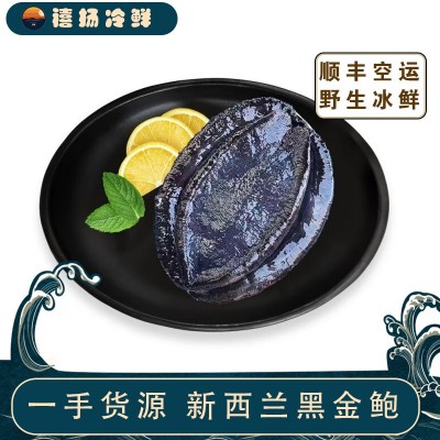 新西兰黑金鲍鱼活冻大鲍鱼鲜活水产刺身海鲜特大黑边鲍鱼商用批发图5