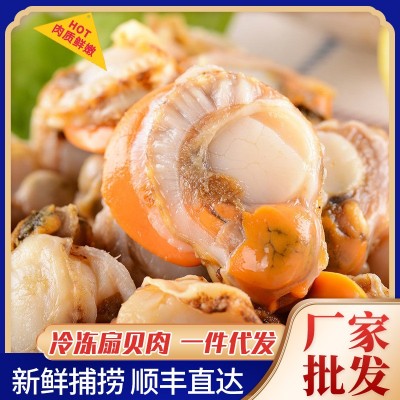 新鲜扇贝肉冷冻水产大号扇贝肉带黄无沙鲜冻扇贝肉图5