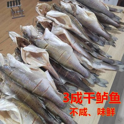 青岛特色大鲈鱼干海鲈鱼干自晒鱼干风干鱼特产高品质海鱼礼品图2