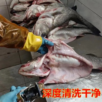 青岛特色大鲈鱼干海鲈鱼干自晒鱼干风干鱼特产高品质海鱼礼品图3