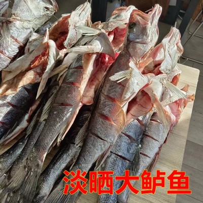 青岛特色大鲈鱼干海鲈鱼干自晒鱼干风干鱼特产高品质海鱼礼品图5