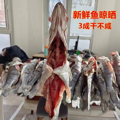 青岛特色大鲈鱼干海鲈鱼干自晒鱼干风干鱼特产高品质海鱼礼品图4