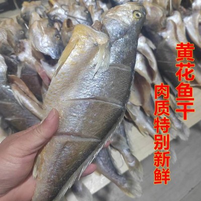 青岛淡晒黄花鱼干黄鱼鲞黄姑鱼干风干鱼甜晒鱼干图3