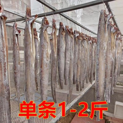 青岛特色鱼干刀鱼干带鱼干小眼油带鱼干自晒新鲜晾晒风干图4