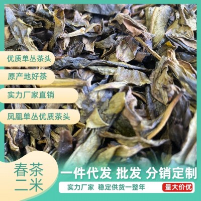 鸭屎香 鸭屎香粗叶 凤凰单丛 潮州 高品质单丛二米中叶