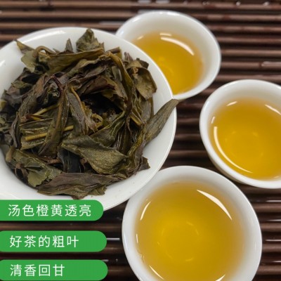 鸭屎香 鸭屎香粗叶 凤凰单丛 潮州 高品质单丛二米中叶图2