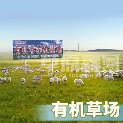 羊肉片精品内蒙古羔羊肉2斤非调理涮羊肉火锅烤肉食材草原鑫河图3