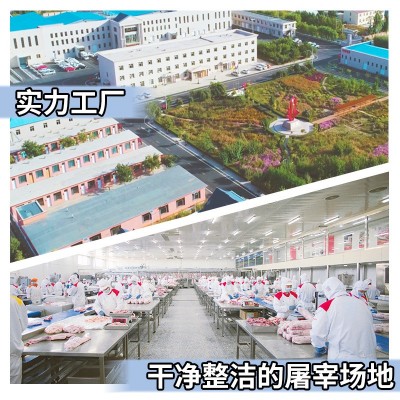 羊肉片精品内蒙古羔羊肉2斤非调理涮羊肉火锅烤肉食材草原鑫河图2