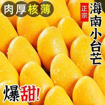芒果海南小台农芒果新鲜现摘小台芒应当季热带水果特产整箱包邮图4