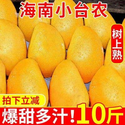 芒果海南小台农芒果新鲜现摘小台芒应当季热带水果特产整箱包邮图3