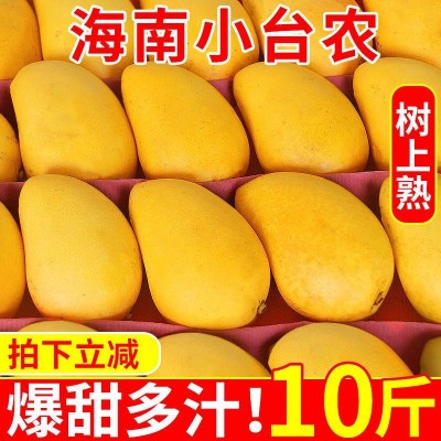 芒果海南小台农芒果新鲜现摘小台芒应当季热带水果特产整箱包邮图5