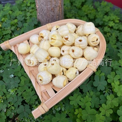 湖南去芯白莲新货 湘潭去芯水泡莲开边莲磨皮莲500g滋补汤料批发图2