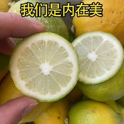 广东香水柠檬批发二级果黄果花皮青果奶茶店专用实惠
