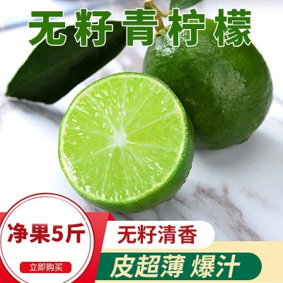 广西无籽青柠檬皮薄多汁当季新鲜水果奶茶店专供批发图2