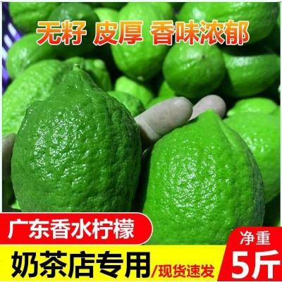 广东香水柠檬无籽一级果产地直发新鲜水果奶茶店专用整箱批发