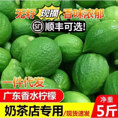 广东香水柠檬无籽一级果产地直发新鲜水果奶茶店专用整箱批发图2
