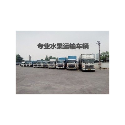 杭州今日红富士苹果格 杭州水果批发市场
