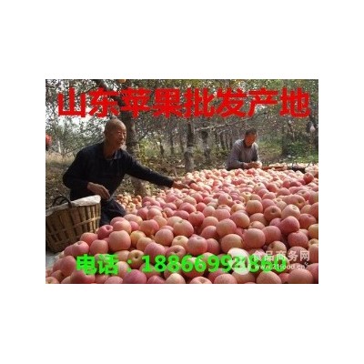 宜昌今日红富士苹果格 宜昌水果批发市场图3