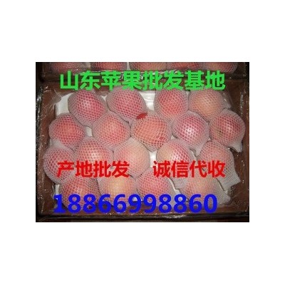 宜昌今日红富士苹果格 宜昌水果批发市场图4