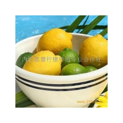 青柠檬