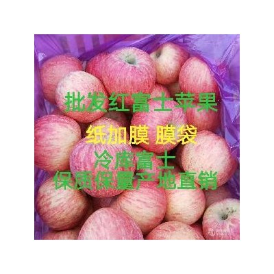红富士苹果行情分析图2