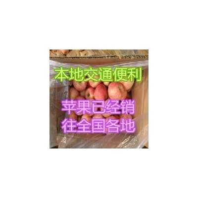 2023年山东红富士苹果基本报价山东苹果各产地报价详细图3