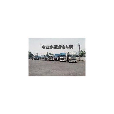 2023年山东红富士苹果基本报价山东苹果各产地报价详细