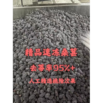 产地直销A级速冻桑葚冷冻去蒂桑葚果汁原料冷冻桑葚果汁速冻水果图5