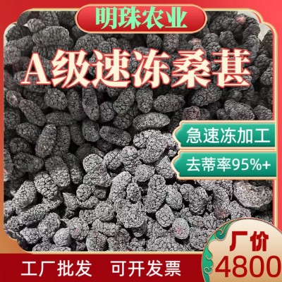 产地直销A级速冻桑葚冷冻去蒂桑葚果汁原料冷冻桑葚果汁速冻水果