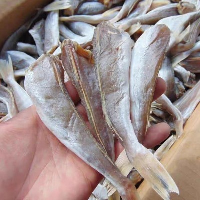 咸鱼源头厂家咸香可口鱼干风干淡晒咸鱼自然风干肉多刺少图4